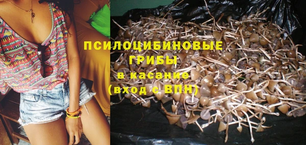 дурь Инсар