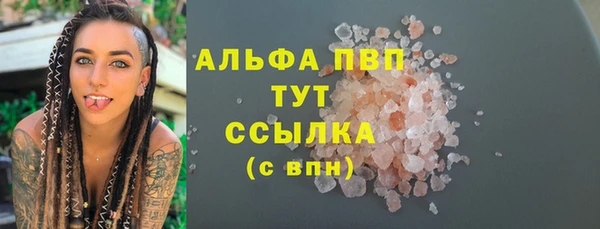 дурь Инсар