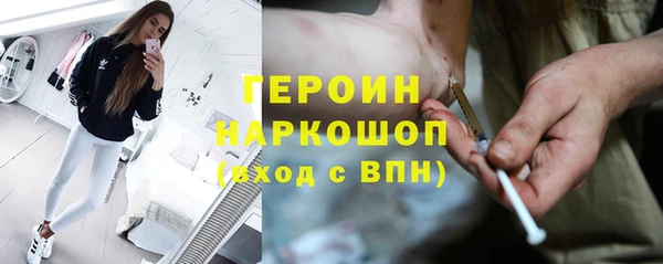 прущие грибы Зеленокумск