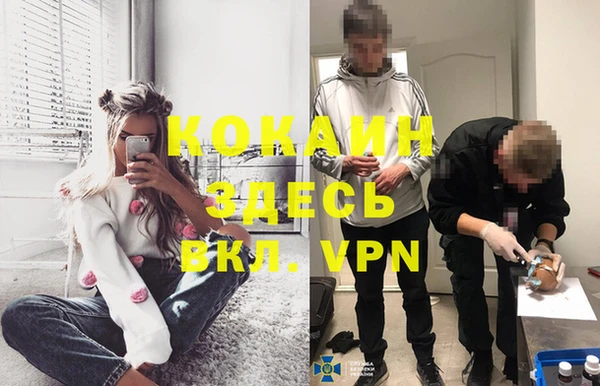 дурь Инсар