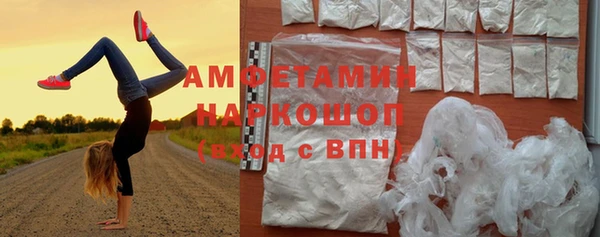 дурь Инсар