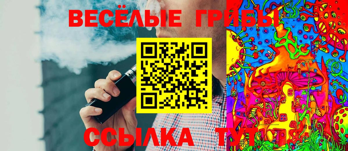 Псилоцибиновые грибы Psilocybe Славгород