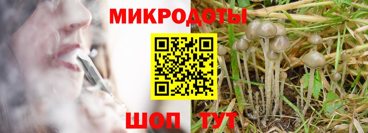 Псилоцибиновые грибы GOLDEN TEACHER  Галлюциногенные грибы Magic Shrooms  Славгород  Вход с VPN 